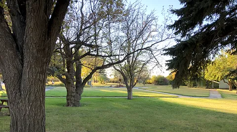 Lawn and mature trees on the residence grounds.