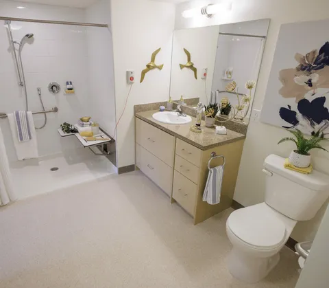 Bathroom with a shower, sink, mirror, toilet and grab rails