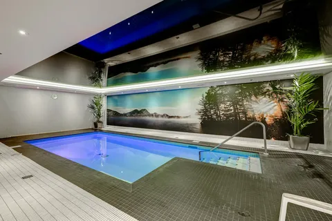 Indoor pool with entry steps and large landscape wall panels