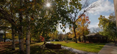 Paved garden path with trees and planting beds