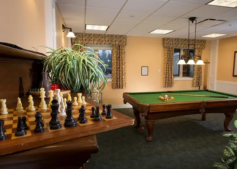 Games room with a billiard table and chess set.