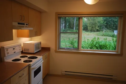 Suite kitchenette with stove, microwave, cabinets and a window.