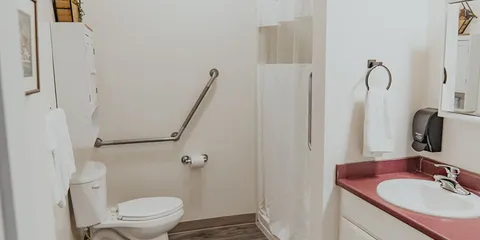 Bathroom with a shower, toilet, vanity and grab rail.