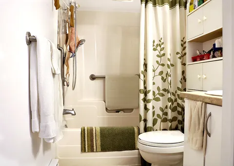 Bathroom with a bathtub, grab bars, toilet and green leaf-patterned curtain