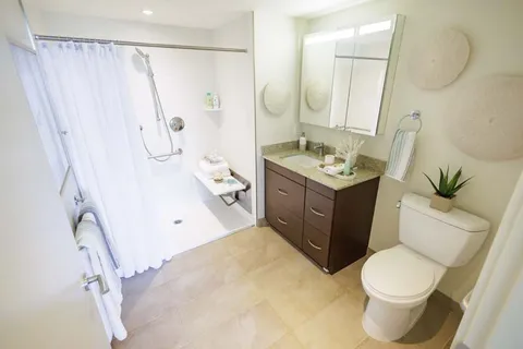 Bathroom with an accessible shower, sink, mirror and toilet