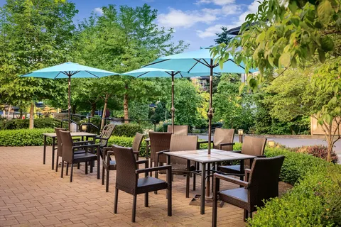 Brick patio with tables, chairs and turquoise umbrellas surrounded by trees
