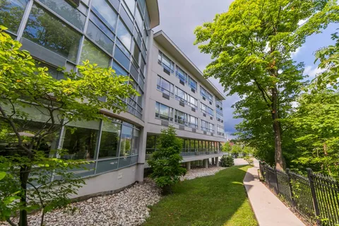 Building windows beside a tree-lined path and lawn