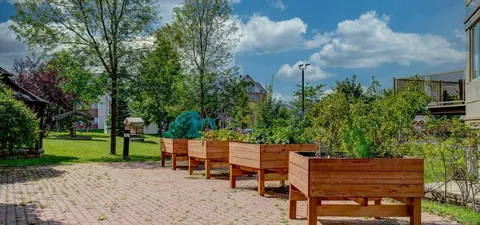 Raised garden beds beside a lawn and trees.