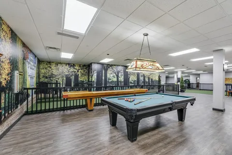 Billiards table and shuffleboard beside a woodland wall mural