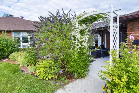Garden path with flowering plants and a white arbour