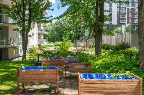 Raised garden beds along a path beside the residence.
