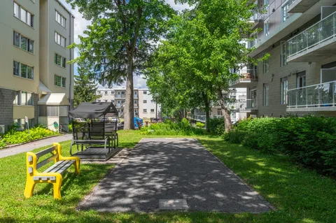 Paved courtyard with benches, trees and surrounding balconies.