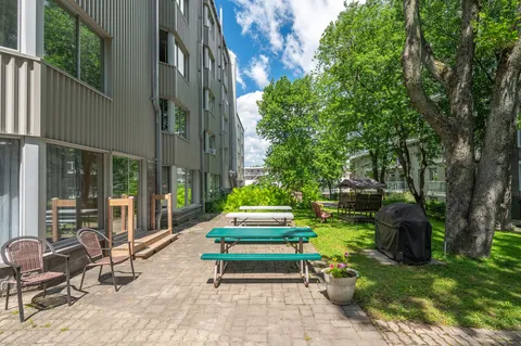 Paved patio with picnic tables, chairs and mature trees.