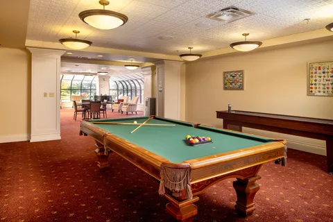 Games room with a green-felt pool table