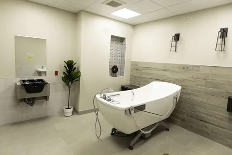 Bathing room with an accessible bathtub and wall-mounted fixtures.
