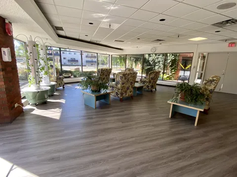 Window-side lounge with patterned armchairs and potted plants.