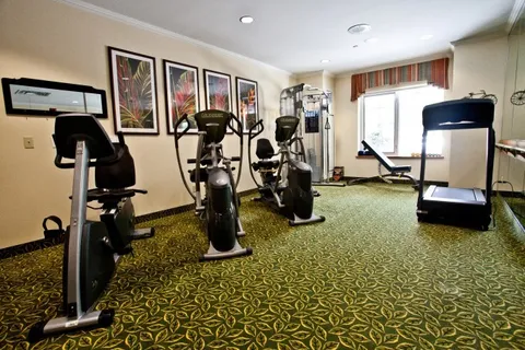 Fitness room with exercise bikes, a treadmill, a weight machine and framed leaf pictures
