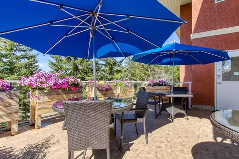 Patio seating with blue umbrellas and flower planters