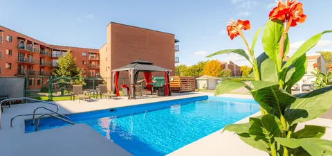 Outdoor swimming pool with steps, flowers and sheltered seating nearby