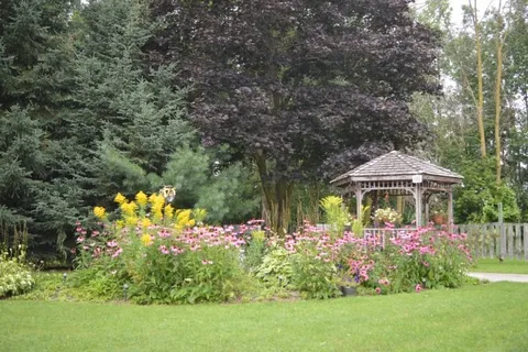 Garden with flowering plants and a wooden gazebo
