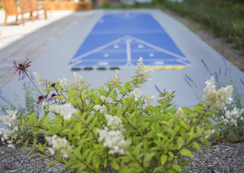 Flowers beside a blue shuffleboard court and patio furniture