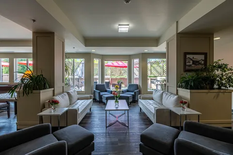 Room with sofas, armchairs, potted plants and windows overlooking a patio