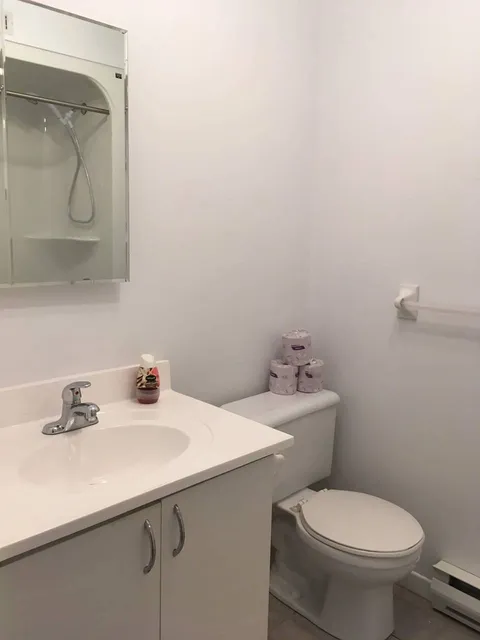 Bathroom with a sink, toilet, mirror and wooden cabinets