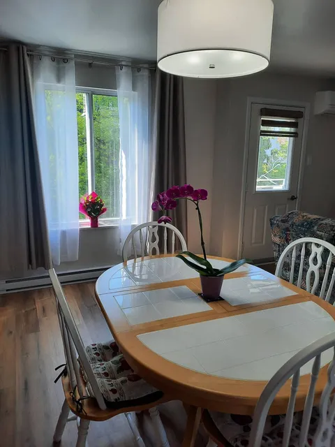 Table and chairs beside tall windows and a potted orchid
