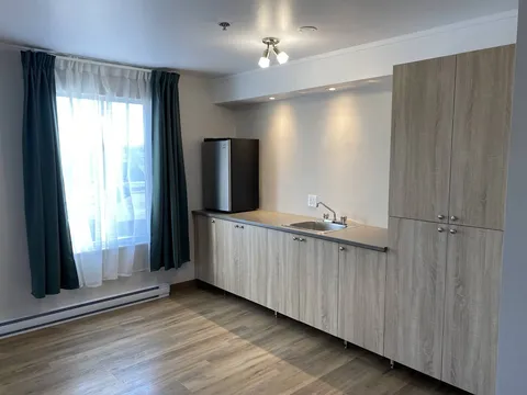 Kitchenette with wood cabinets, a sink and small refrigerator