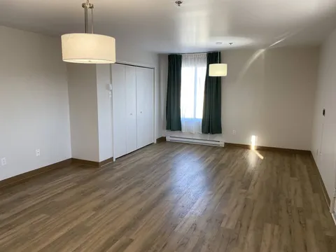Unfurnished room with windows, ceiling lights and a closet