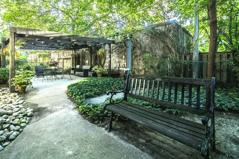 Garden path beside a bench, trees and a wooden pergola.