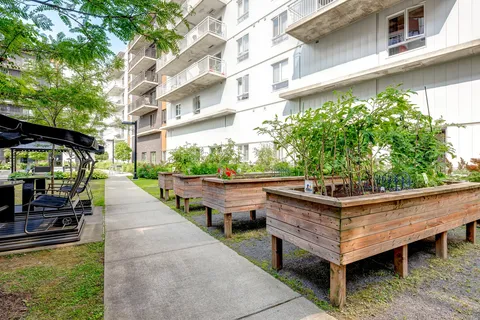 Raised garden beds beside a paved path and covered swing seats