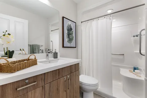 Bathroom with a sink, toilet and shower with grab bars