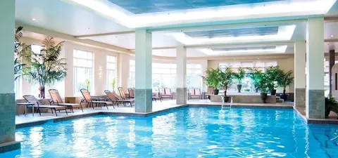 Indoor pool surrounded by potted plants and reclining chairs