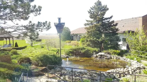 Garden pond and planting beside the residence