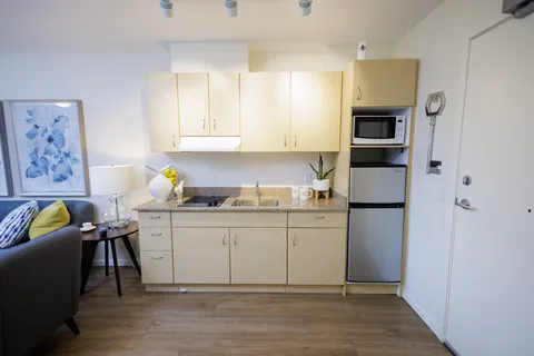 Kitchenette with pale cabinets, a microwave, fridge and sink beside a sofa
