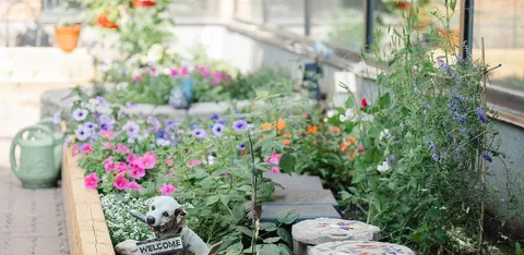 Flower-filled raised planters beside the building.