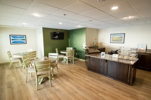 Cafe with tables, pale wooden chairs and a serving counter.
