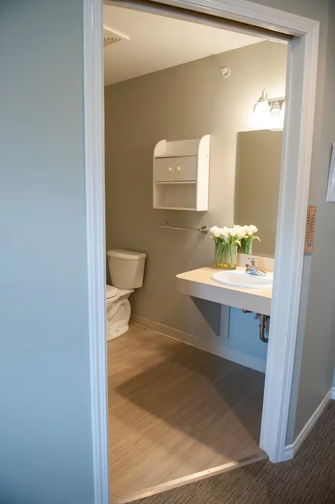 Bathroom with a sink, toilet, cabinet and mirror