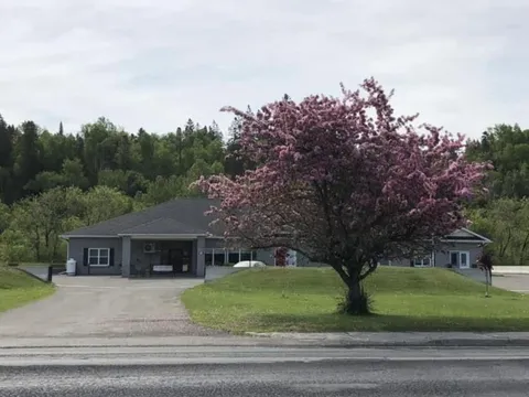 Single-storey residence with a driveway and flowering tree on the front lawn.