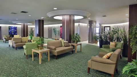 Shared lounge with sofas, armchairs, plants and a carpeted floor.