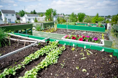 Raised planting beds beside the residence.