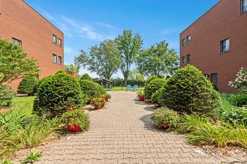 Garden path bordered by flowering plants, shrubs and outdoor chairs