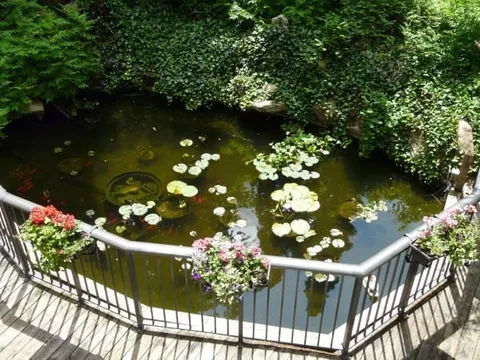 Garden pond bordered by flowers, shrubs and a railing