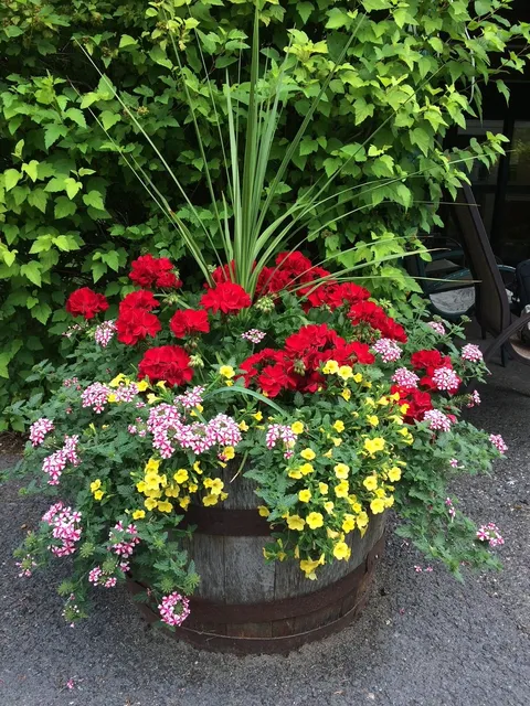 Flower planter beside shrubs and trees.