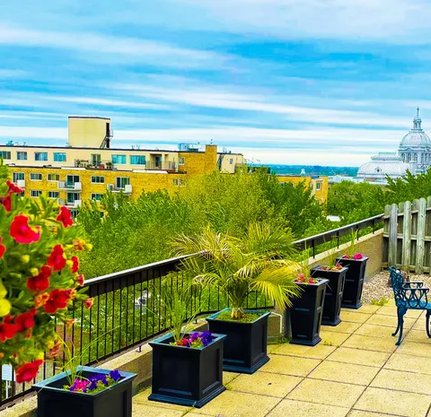 Terrace with flower planters, railings and a view across nearby buildings