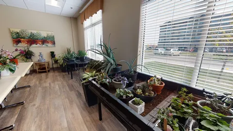 Potting room with plants arranged beside a broad window.