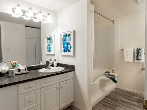 Bathroom with a vanity, sink and accessible bathtub.