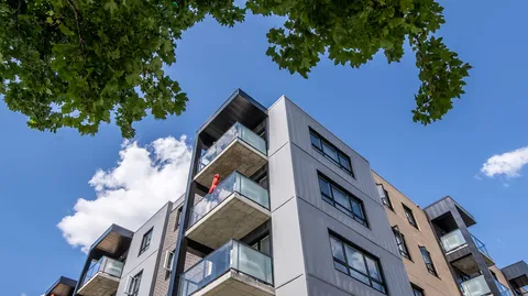 Multi-storey building with glass balconies beneath leafy branches