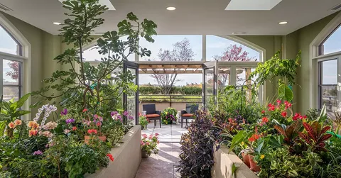 Plant-filled room with raised planters and an open doorway to outdoor seating